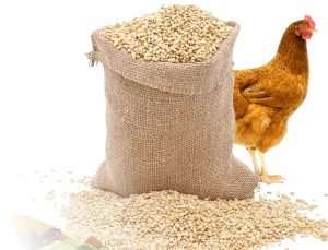 Государственная регистрация ветеринарных препаратов и кормовых добавок в России